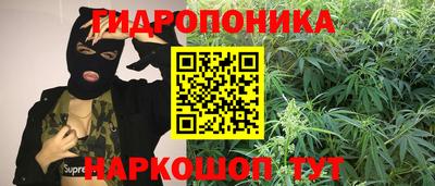 MDMA Можга