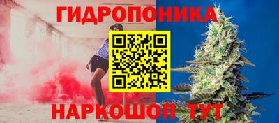 MDMA Можга